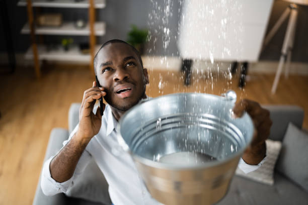 Best Water damage cleanup near me  in New Oxford, PA