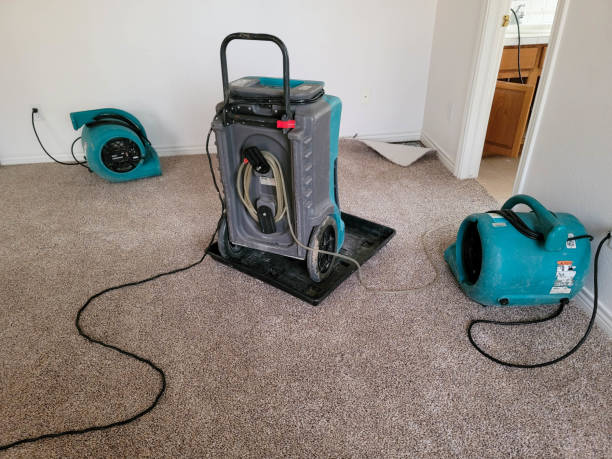 Best Water damage restoration company  in New Oxford, PA