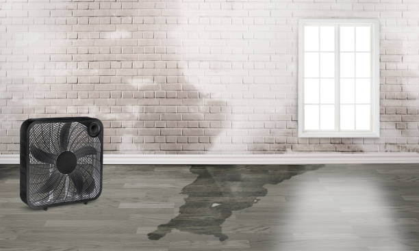 Best Sewage cleanup and water damage restoration  in New Oxford, PA