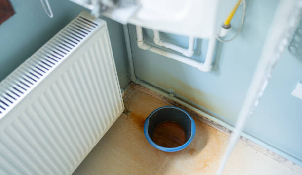 Best Water damage restoration mold remediation  in New Oxford, PA