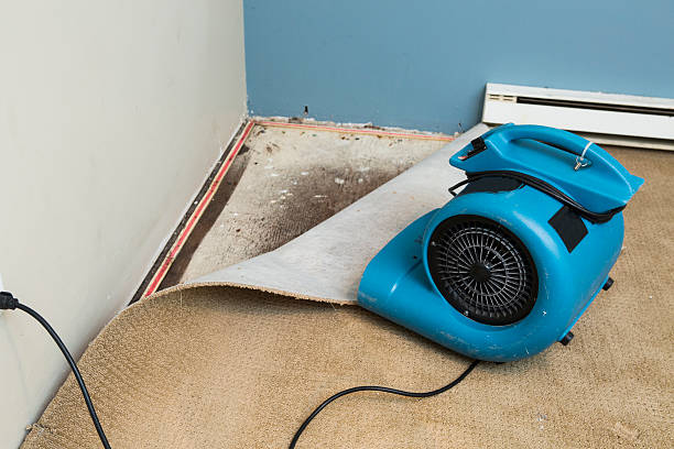 Best 24/7 water damage repair  in New Oxford, PA